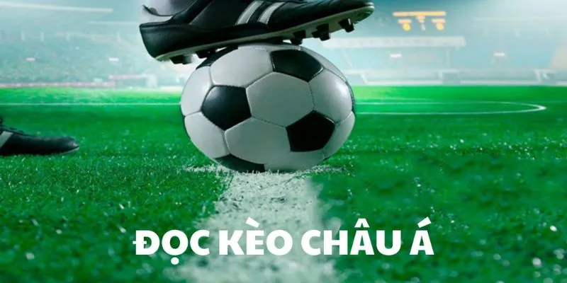 Các tỉ lệ đặt cược được nhiều người chơi lựa chọn 