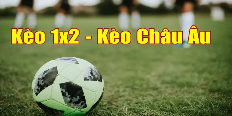 Mẹo tham gia kèo cược luôn thắng đậm Mẹo tham gia kèo cược luôn thắng đậm
